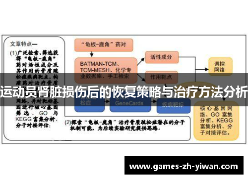 运动员肾脏损伤后的恢复策略与治疗方法分析
